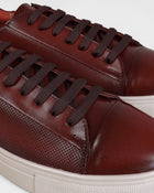 TENIS IVAN 306 C